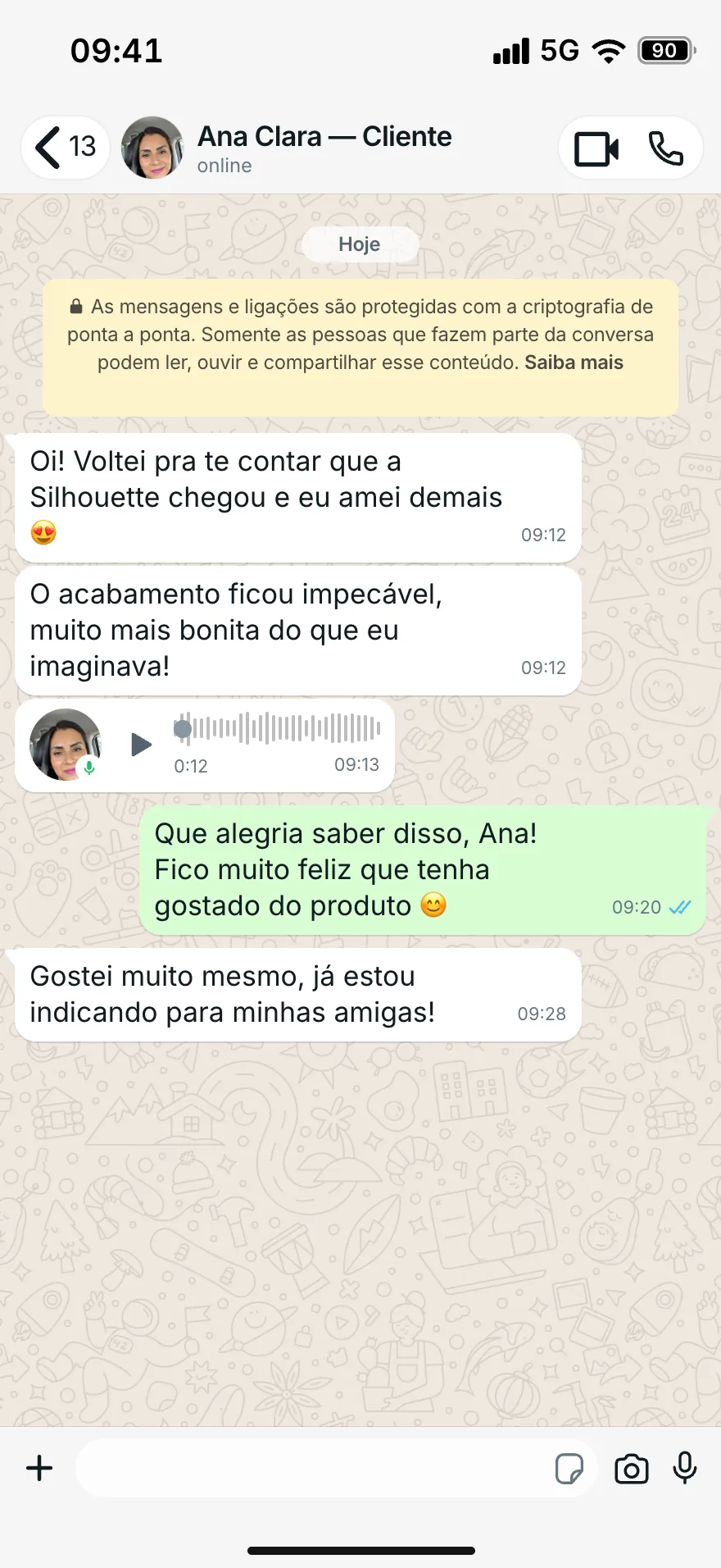 Depoimento de Ana Clara no WhatsApp
